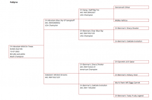 Pedigree / stamboom Absolute Wild on Texas