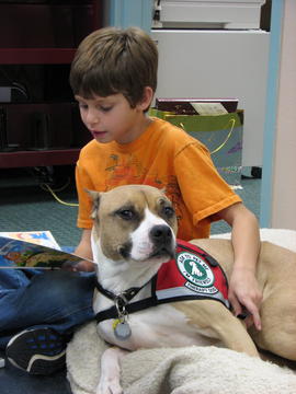 are staffordshire terriers used as service dogs