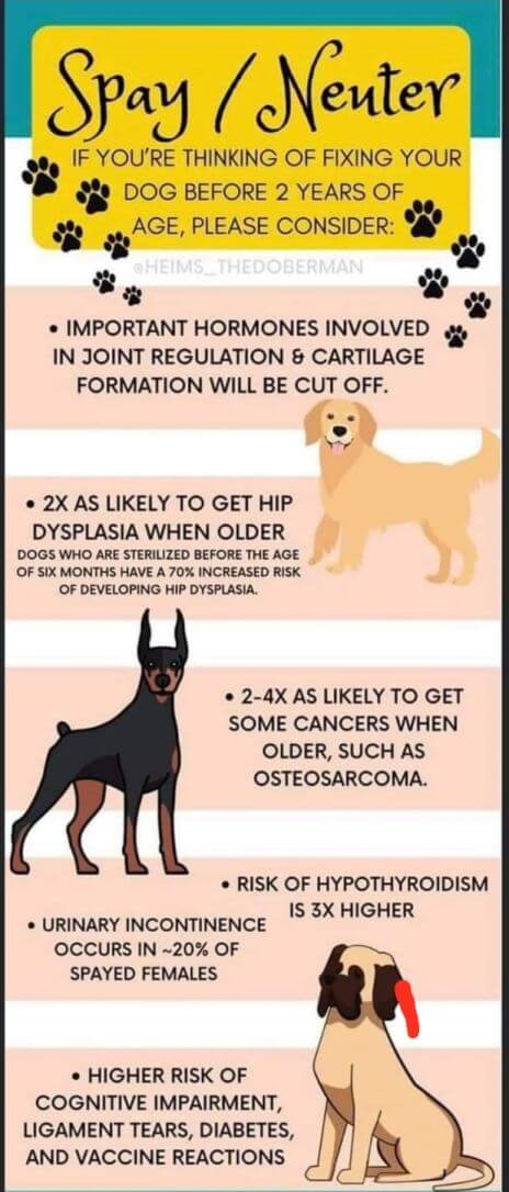 Neutering or spaying Old Hickory