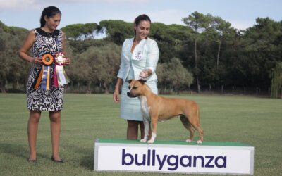 BullyGanza 2026 !
