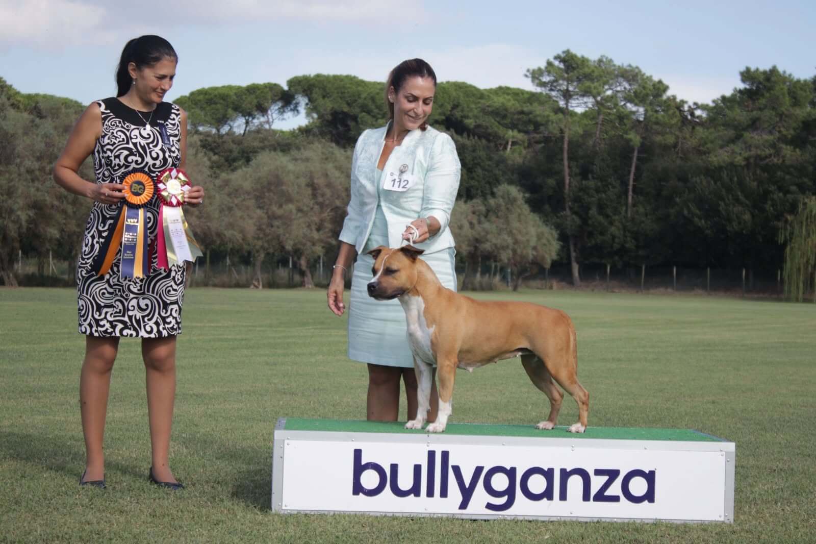 BullyGanzaCindy2026