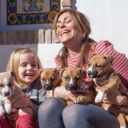 Pups Sindy x Goan